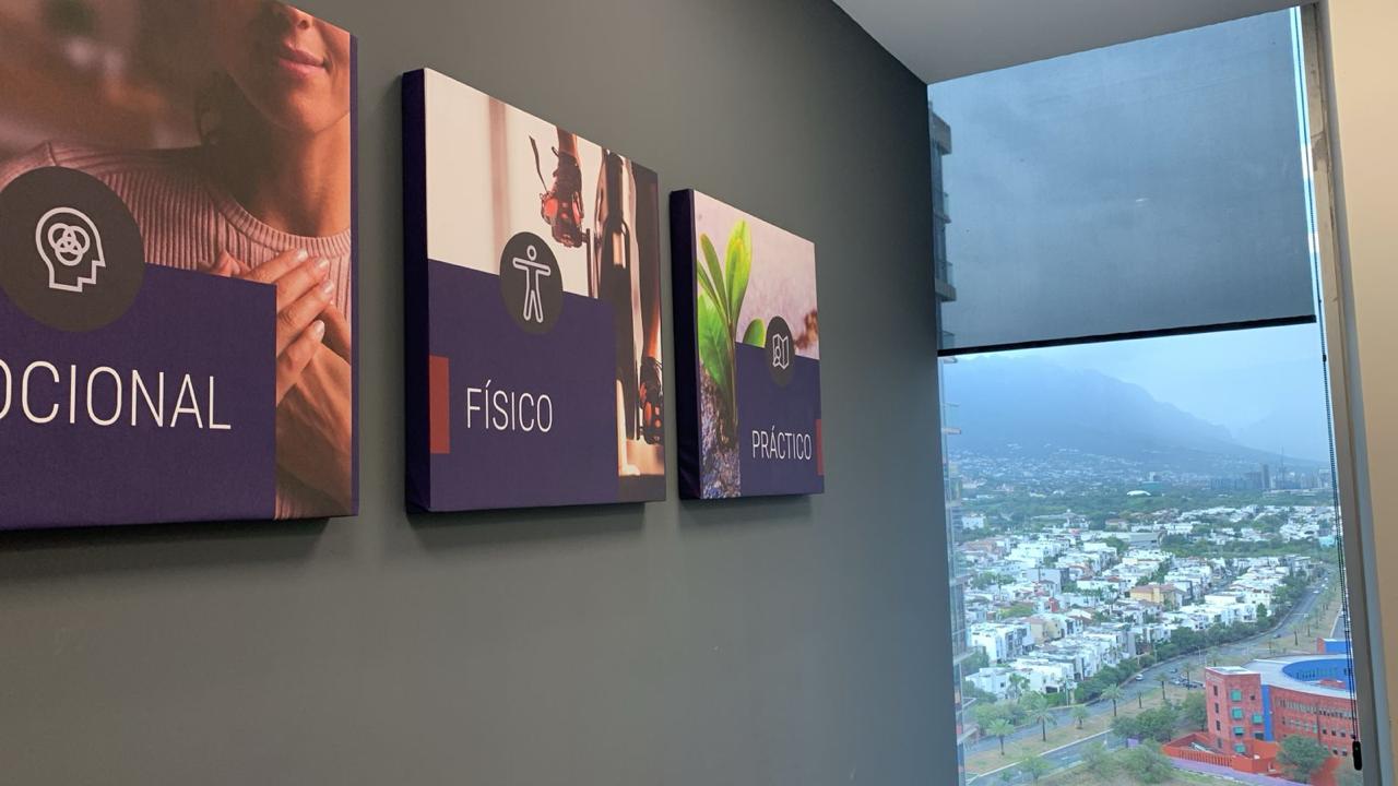 Imagen y señalamiento corporativo - Árbol Estudio 05