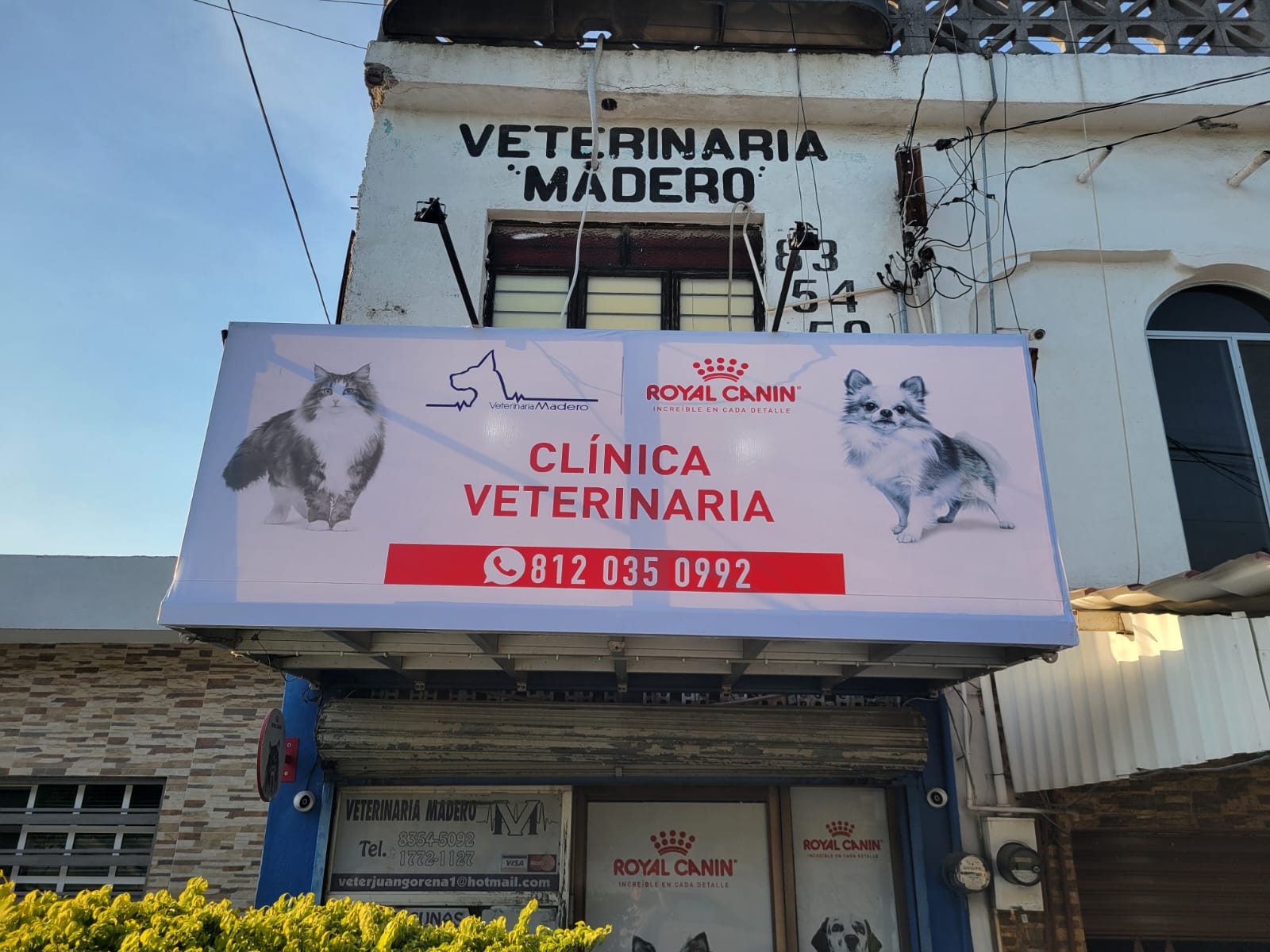 Publicidad exterior - Árbol Estudio 54
